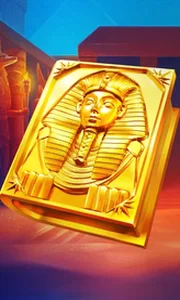 Book of Gold Multichance